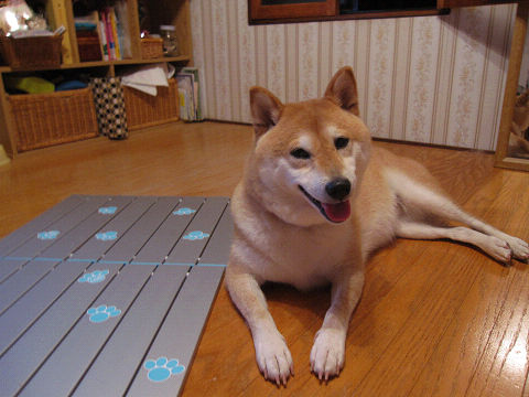 3resize2142.jpg