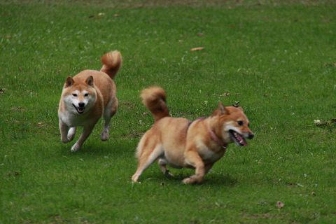 3resize2282.jpg