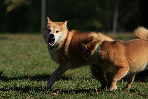 3resize2378.jpg