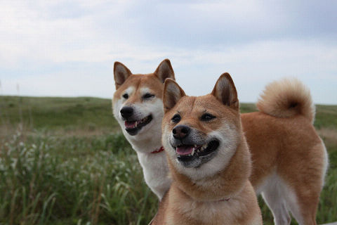 3resize3358.jpg