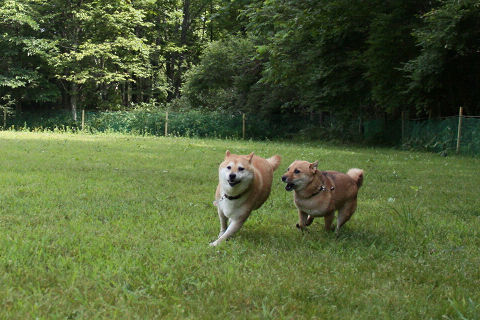 3resize3448.jpg