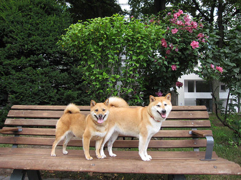 3resize3534.jpg