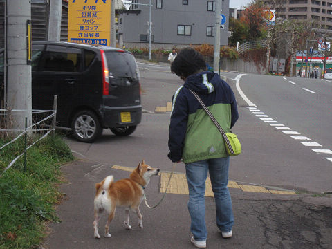3resize4193.jpg