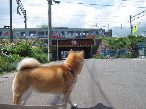 3resize5276.jpg