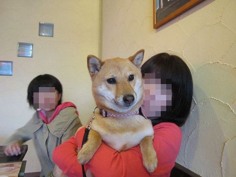 3resize5305.jpg