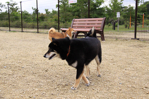 3resize5340.jpg