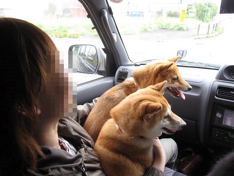 3resize5373.jpg