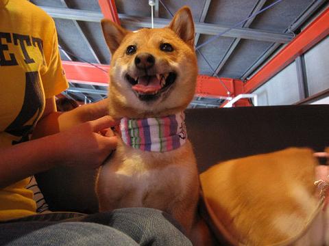 3resize5437.jpg