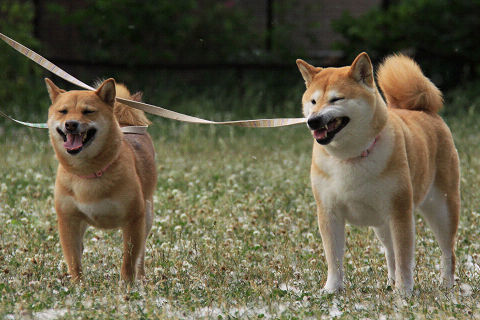 3resize5459.jpg