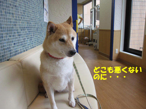 3resize5858.jpg