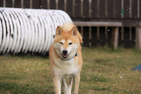 3resize6465.jpg