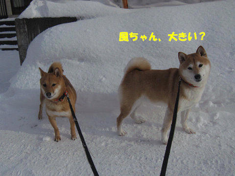 3resize6706.jpg