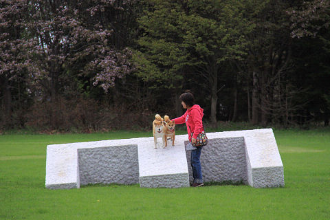 3resize7205.jpg