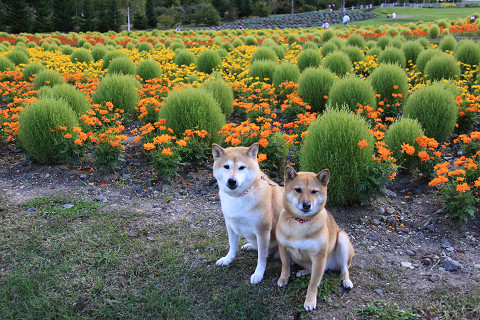 4resize0408.jpg
