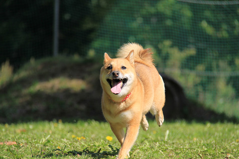 4resize0437.jpg