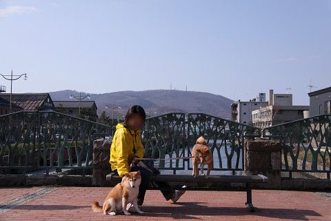 4resize0580.jpg
