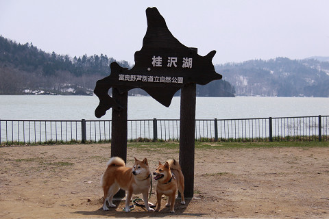 4resize0610.jpg