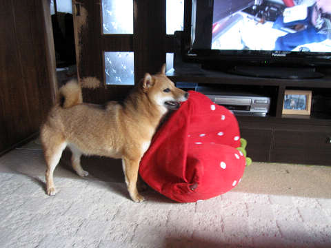 4resize1110.jpg