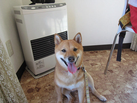 4resize2257.jpg