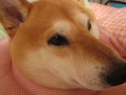 4resize3240.jpg