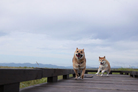 4resize3359.jpg
