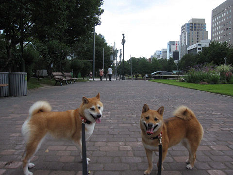 4resize3535.jpg