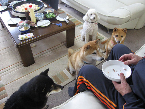 4resize4842.jpg