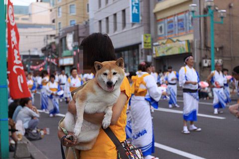 4resize5626.jpg