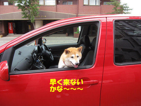 4resize5859.jpg