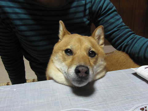 4resize6581.jpg