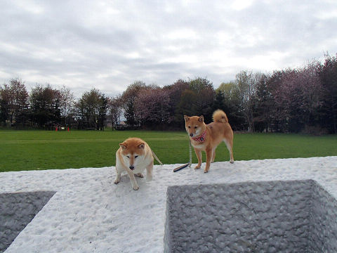 4resize7224.jpg