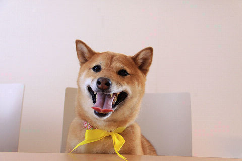 4resize7277.jpg