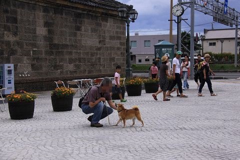 5resize0157.jpg