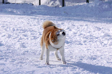5resize0370.jpg