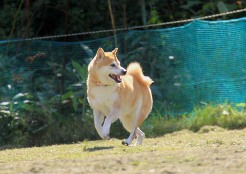 5resize0438.jpg