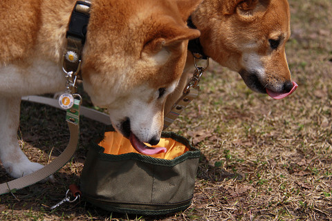 5resize0608.jpg