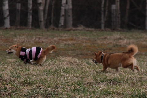 5resize0645.jpg