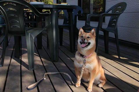5resize1413.jpg