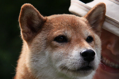 5resize2087.jpg