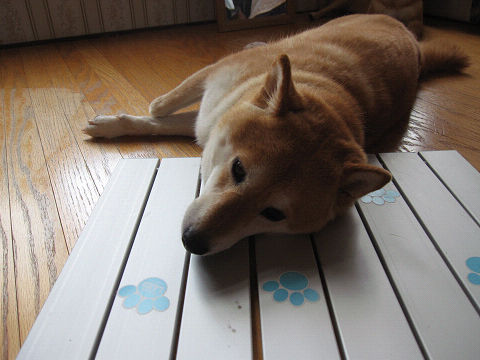 5resize2143.jpg