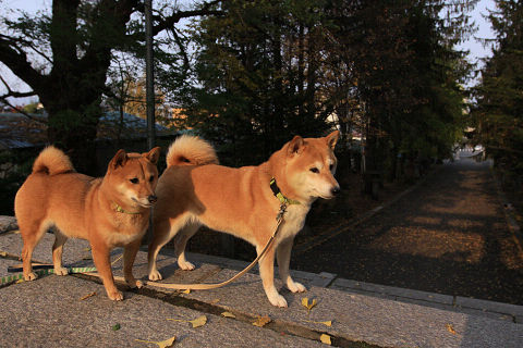 5resize2445.jpg