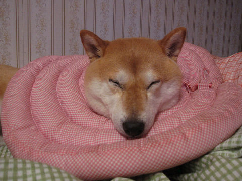 5resize3241.jpg