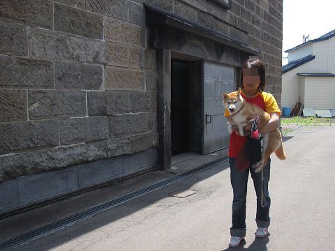 5resize5278.jpg