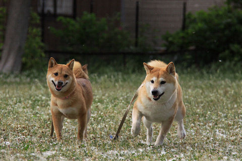 5resize5460.jpg