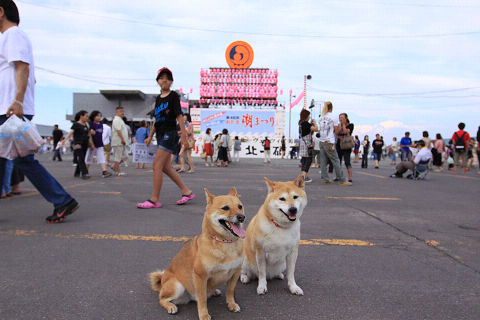 5resize5630.jpg