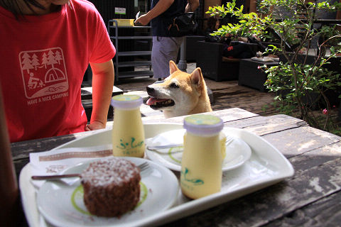 5resize5842.jpg