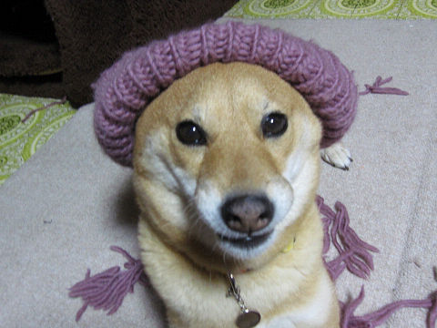 5resize6730.jpg