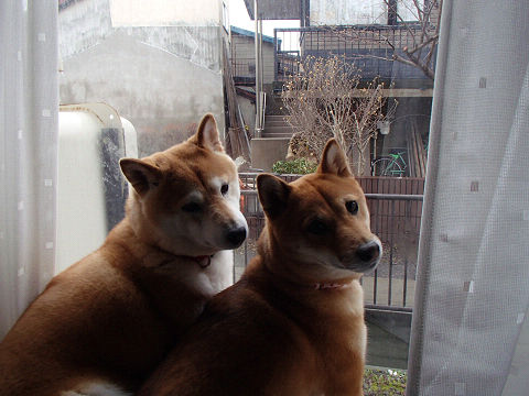 5resize7060.jpg