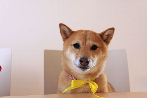 5resize7278.jpg