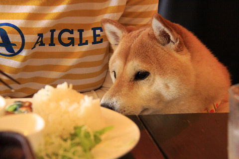 5resize7298.jpg